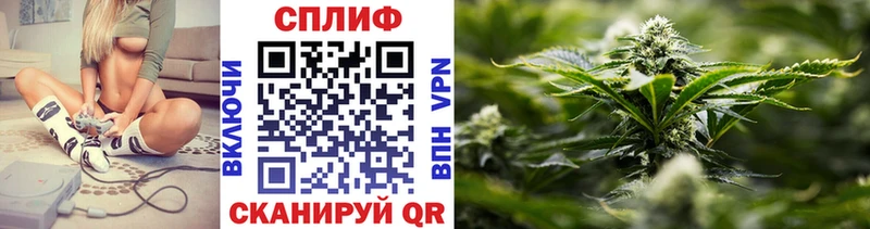 ГАШ Безенчук
