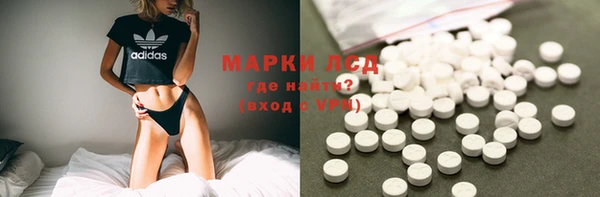 прущие грибы Алексеевка