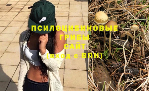 прущие грибы Алексеевка