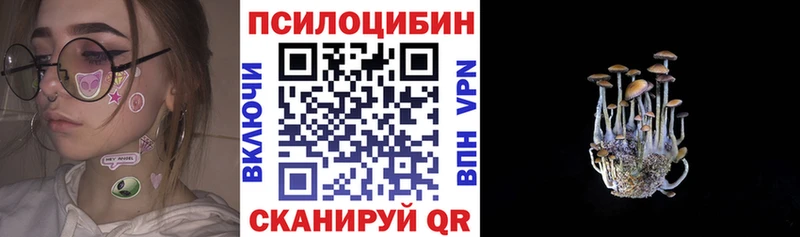 купить закладку Безенчук Псилоцибиновые грибы Cubensis